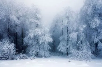Пейзажи с ръцете си
