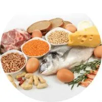 Белтъците са какви продукти