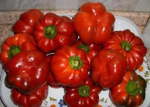 Pepper ratunda какво е