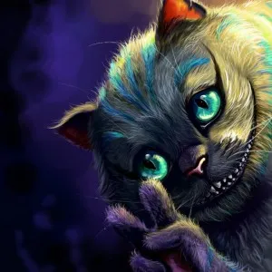 Kashira котка
