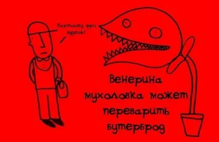 Какво е интересно в интернет