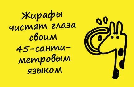 Какво е интересно в интернет