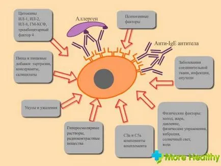 Как да се намали имуноглобулин