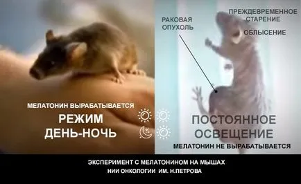хормона мелатонин хормона мелатонин