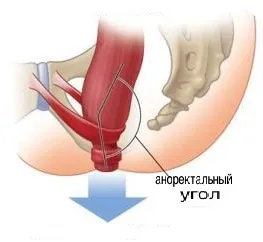 Актът на дефекация, че тя