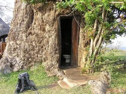 Baobab го