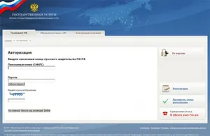 Hogyan lehet ellenőrizni SNILS az interneten keresztül Hogyan lehet ellenőrizni SNILS az interneten keresztül