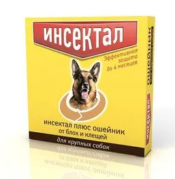 Как се лекува куче срещу кърлежи