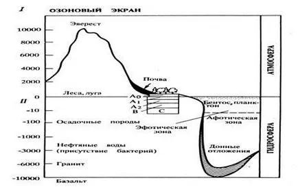 Какво е инертно вещество