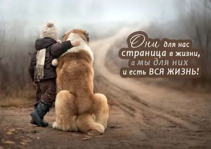 Порода кучета с сини очи Порода кучета с сини очи