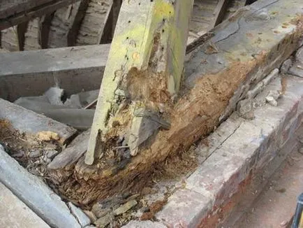 дървото на импрегниран