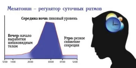 хормона мелатонин