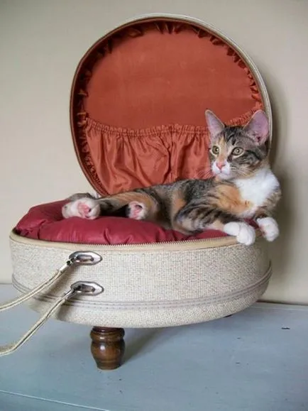 Mat за котки