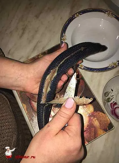 Как бързо почистване на херинга