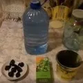 Как да се карам лунна светлина у дома