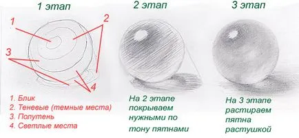 Как да се направи за манекени