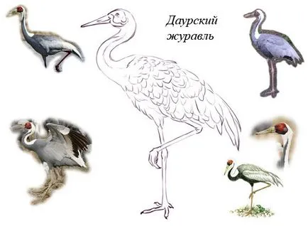 Как да се направи кран