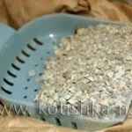 Как можете да се свържете с вашата котка
