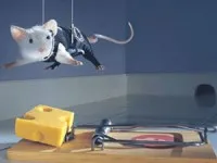 Как да се избегне контакт
