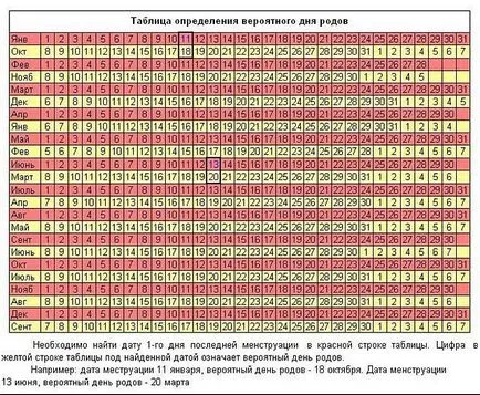 Как да се определи на бременност
