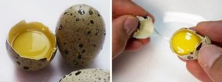 Как да се разделят на бялата от жълтъка