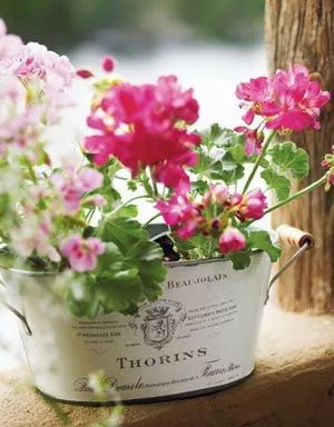 Mit virágcserepet