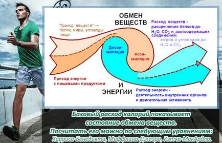 Дневно потребление на