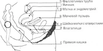 Покажете как да се справят с Покажете как да се справят с