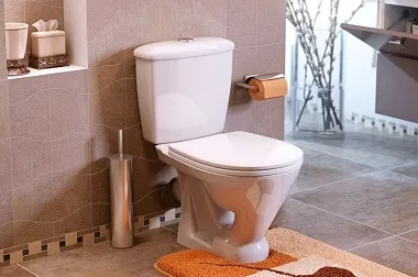 Тъй като нито една тоалетна
