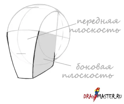Как да се направи лицето от страната