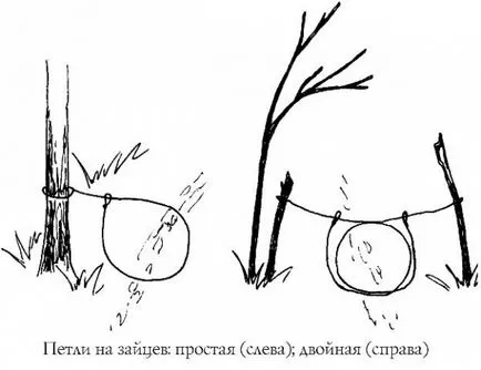 Как да се поставят капани