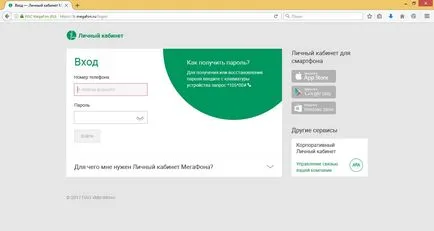 Как да разберете какво опции са свързани мегафон