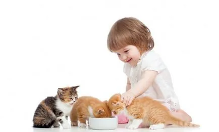 Как да изведе новородено коте Как да изведе новородено коте