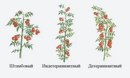 нарастващото оборудване нарастващото оборудване