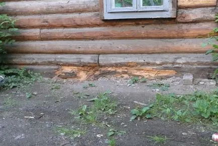 дървото на импрегниран