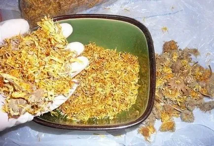 Невен за лечение Невен за лечение