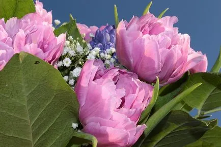 Esküvői csokor tulipán