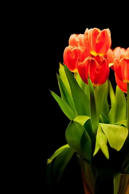Esküvői csokor tulipán