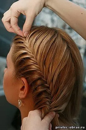 Как да плитка плитки по целия скалп