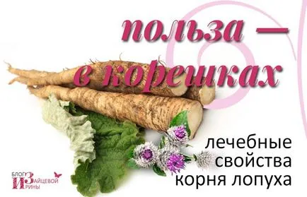 Как да приемате репей