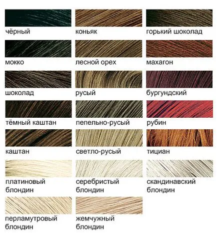боядисване на коса Естел Essex