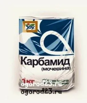 Какво урея растения Какво урея растения