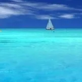 Преглед на лекарите като