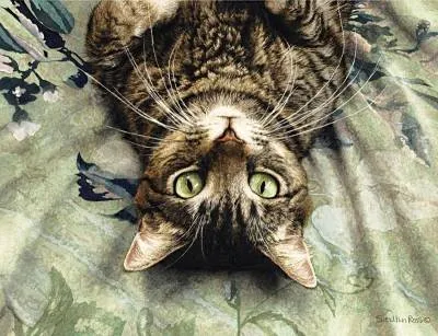 котки художници