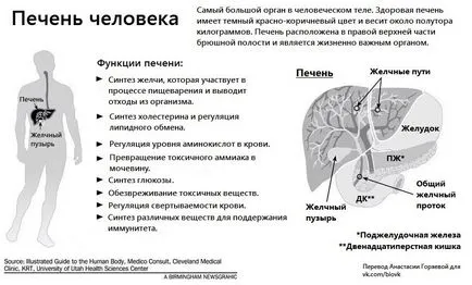Как за лечение на черния дроб