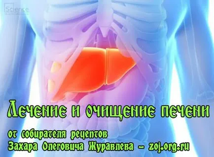 Как за лечение на черния дроб