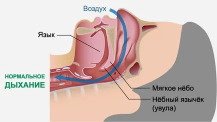 Как хората хъркат