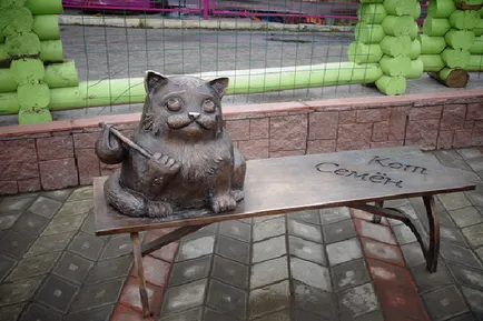 Казан котка