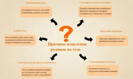 Защо молове сърбят