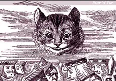 Kashira котка